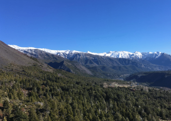 mirador los coigues laguna laja.png
