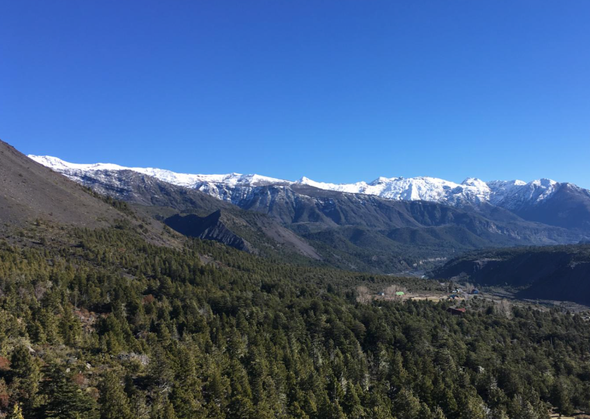 mirador los coigues laguna laja.png
